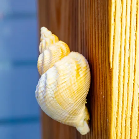 Casa Paradiso 度假居 *